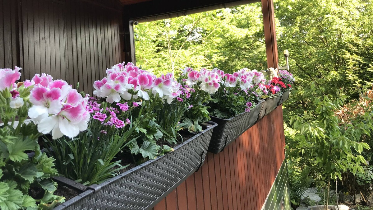 Eltville am Rhein Cabin | Holiday home in a nature park - HAPPY in harmony with nature