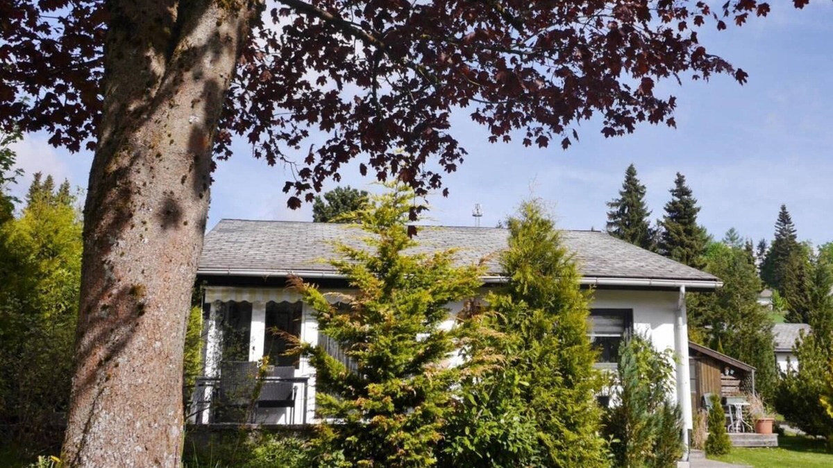 Usseln House | Holiday home Free Willi*