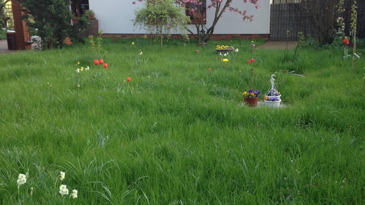 Kolkwitz House | Holiday home in the Vorspreewald with its own beekeeping 6 beds