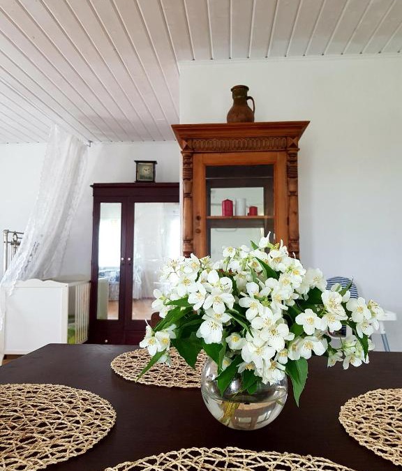 Chistoozernyy House | Holiday home on Kazachiya 20