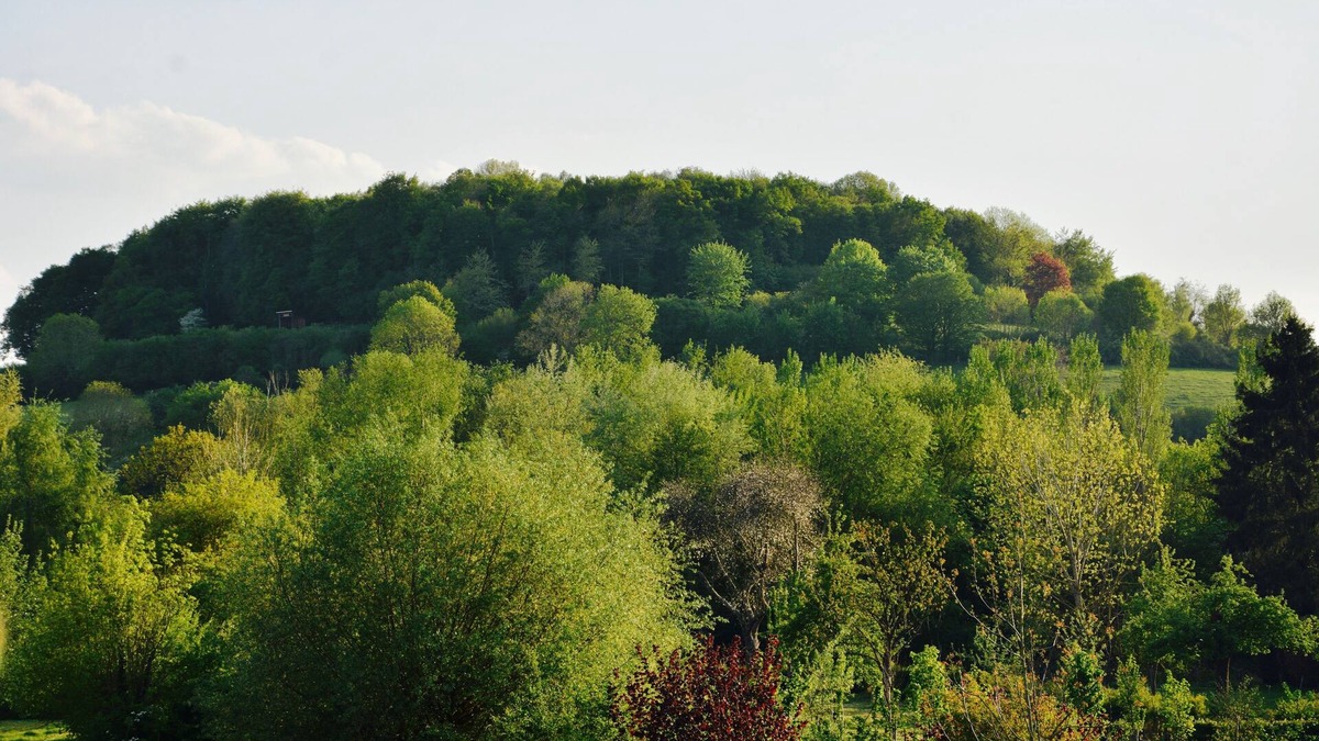 Strucht House | HOLIDAY HOME WITH BEAUTIFUL VIEWS