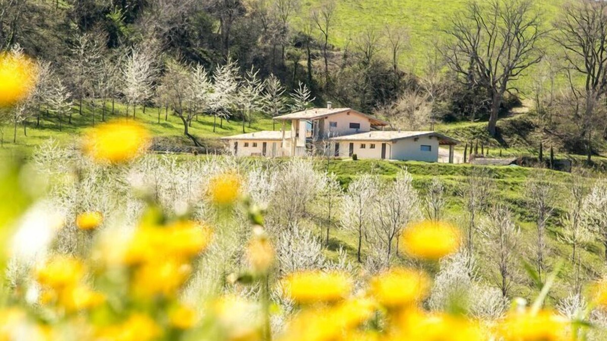 Falerone House | Holiday house Falerone for 1 - 19 persons with 7 bedrooms - Holiday home