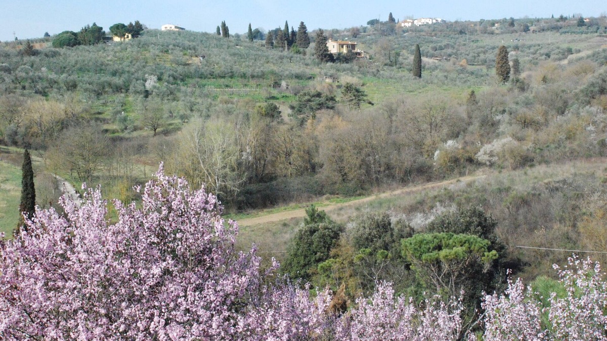 Lastra a Signa House | Holiday house "Gli Oleandri di Belfiore". In the hills but one step away from Florence