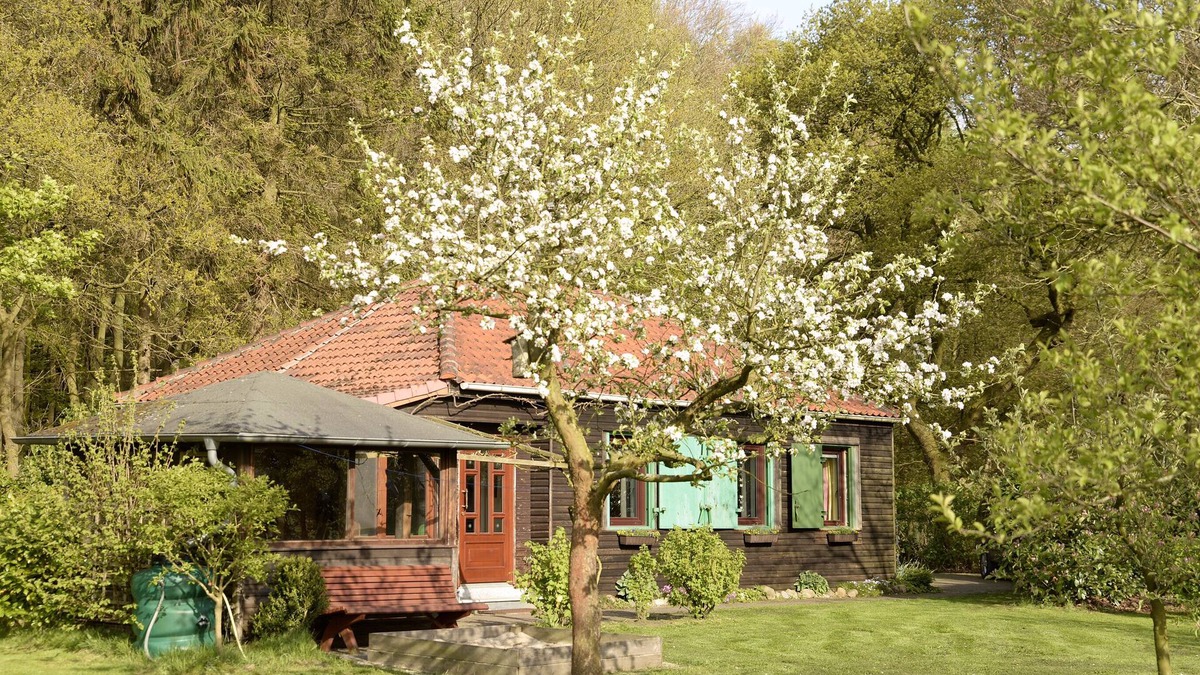 Elmlohe House | Holiday house in an idyllic secluded location