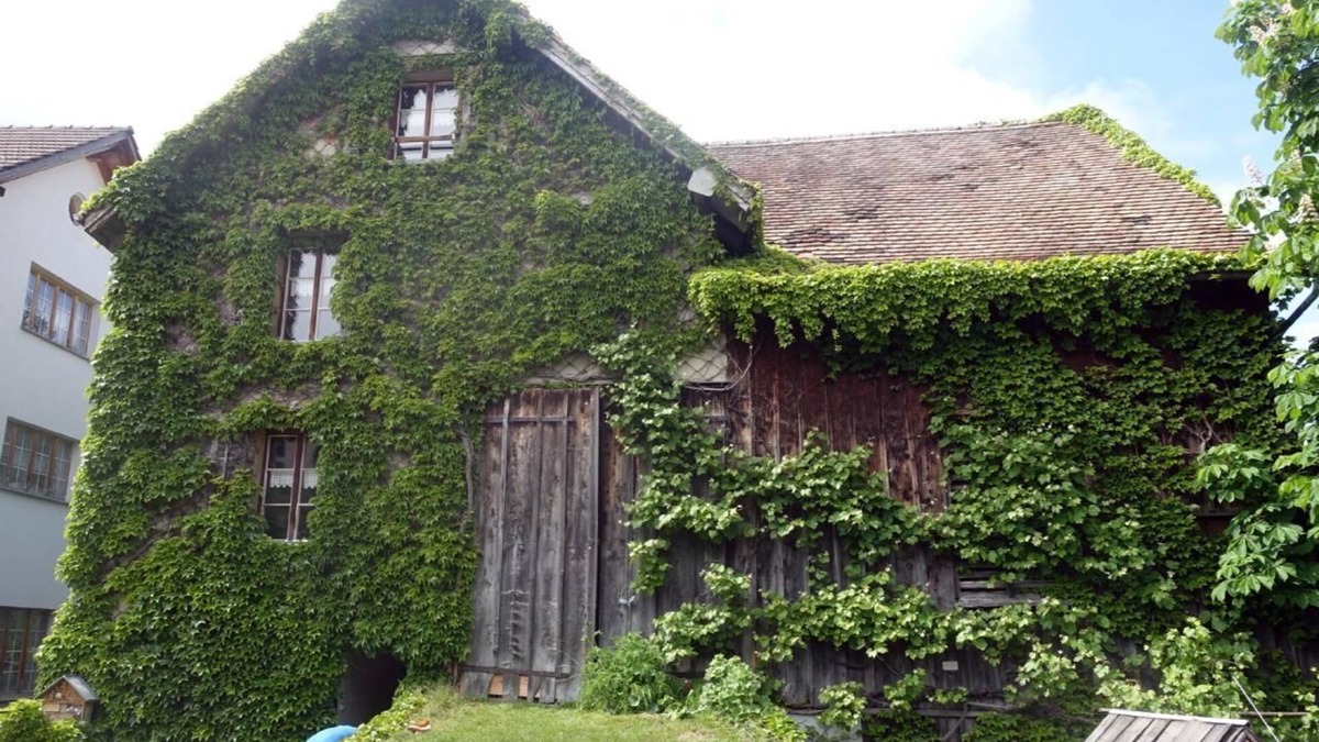 Oberschan Other | Holiday house Oberschan for 1 - 8 persons with 4 bedrooms - Farmhouse