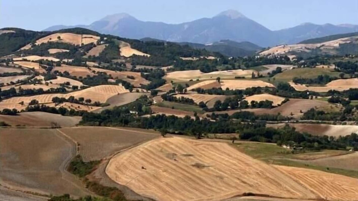 Urbino House | Holiday house Urbino for 1 - 16 persons with 6 bedrooms - Holiday house