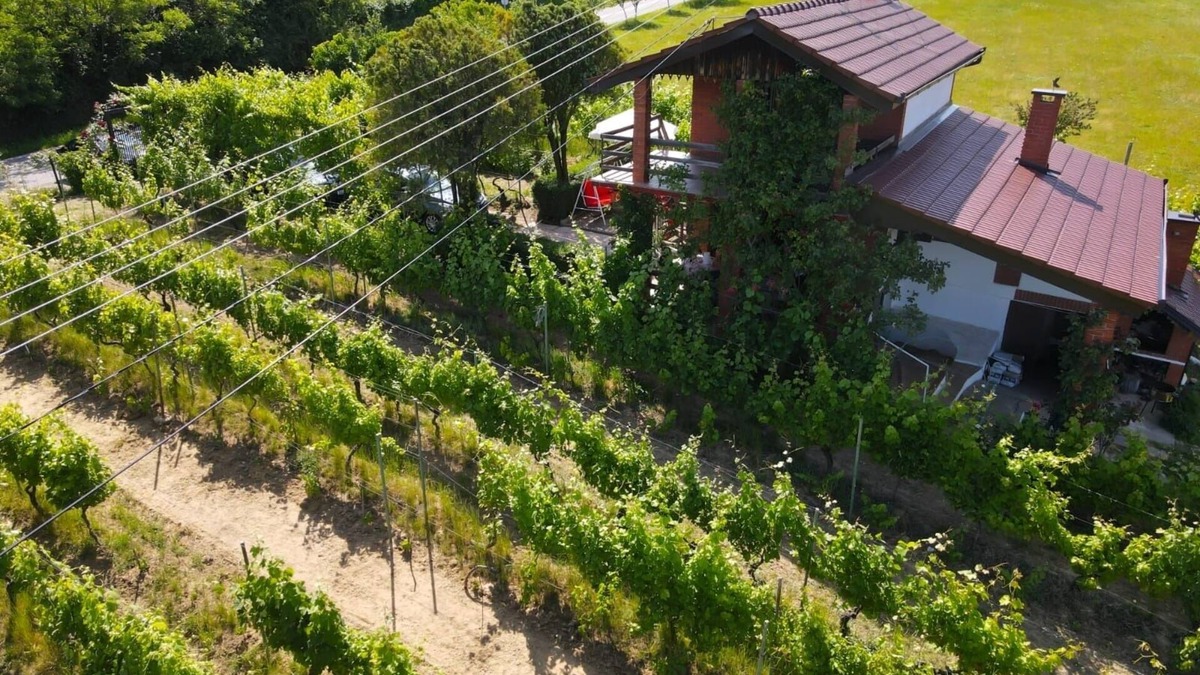 Municipality of Drenje House | Holiday house with a parking space Mandićevac, Slavonija (K-24644)