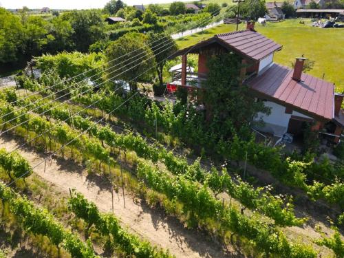 Municipality of Drenje House | Holiday house with a parking space Mandicevac, Slavonija - 24644