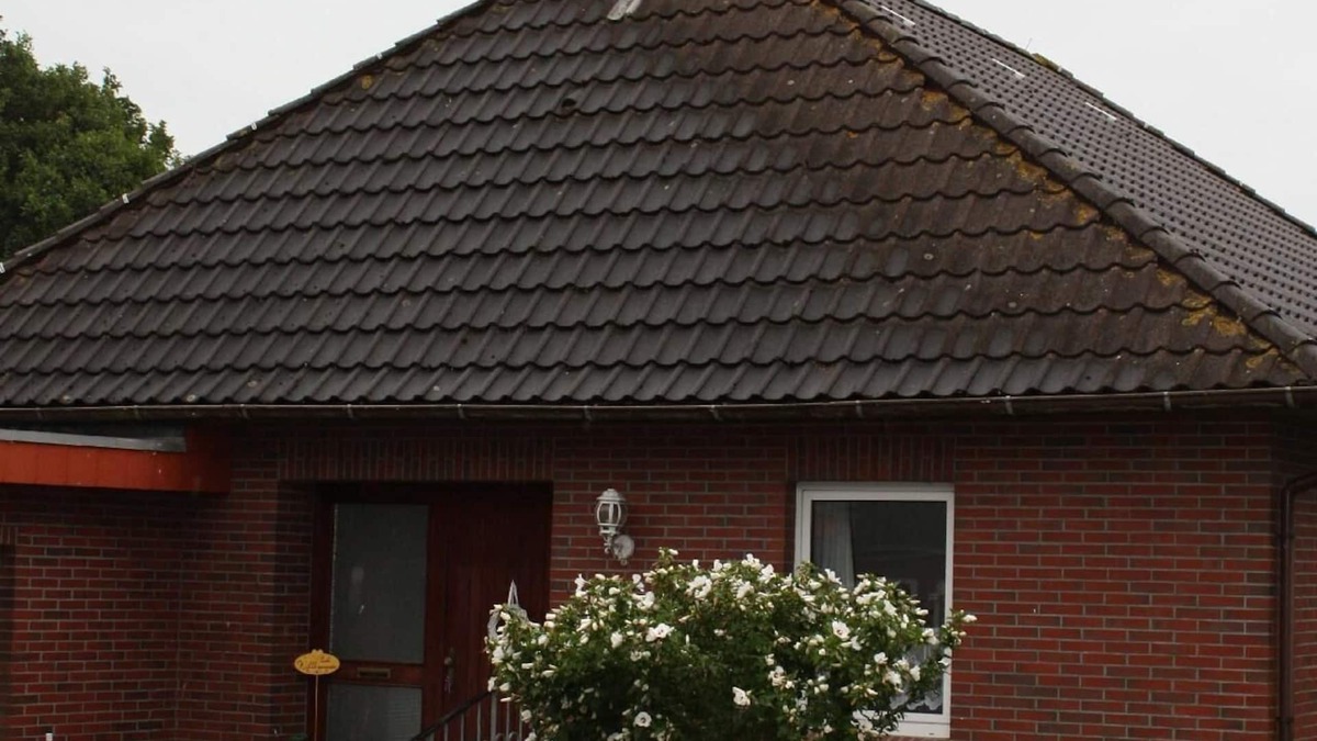 Hobendeich House | Holiday house with a small garden with seating and a grill