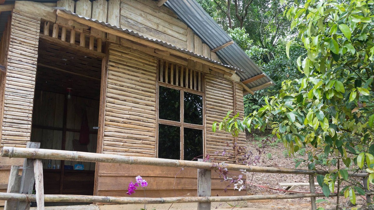 Bohorok House | Holiday rental in Sumatra