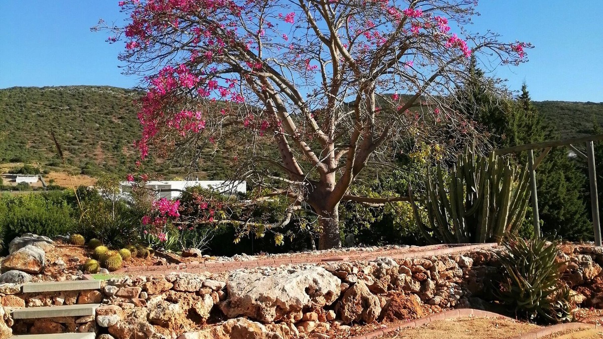 Meloal House | Holiday Home Medronhal t1Faro EM 520 2, Portugal