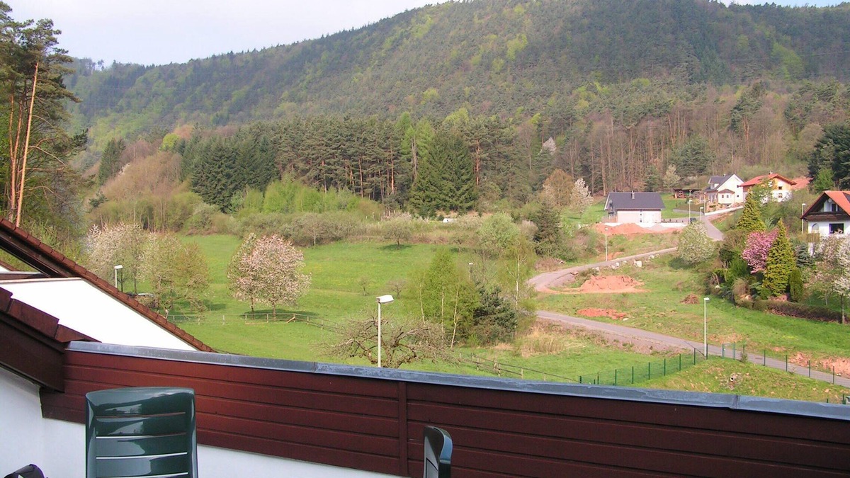 Schwanheim Apartment | Holiday Waldblick Schwanheim with large terrace and stunning views
