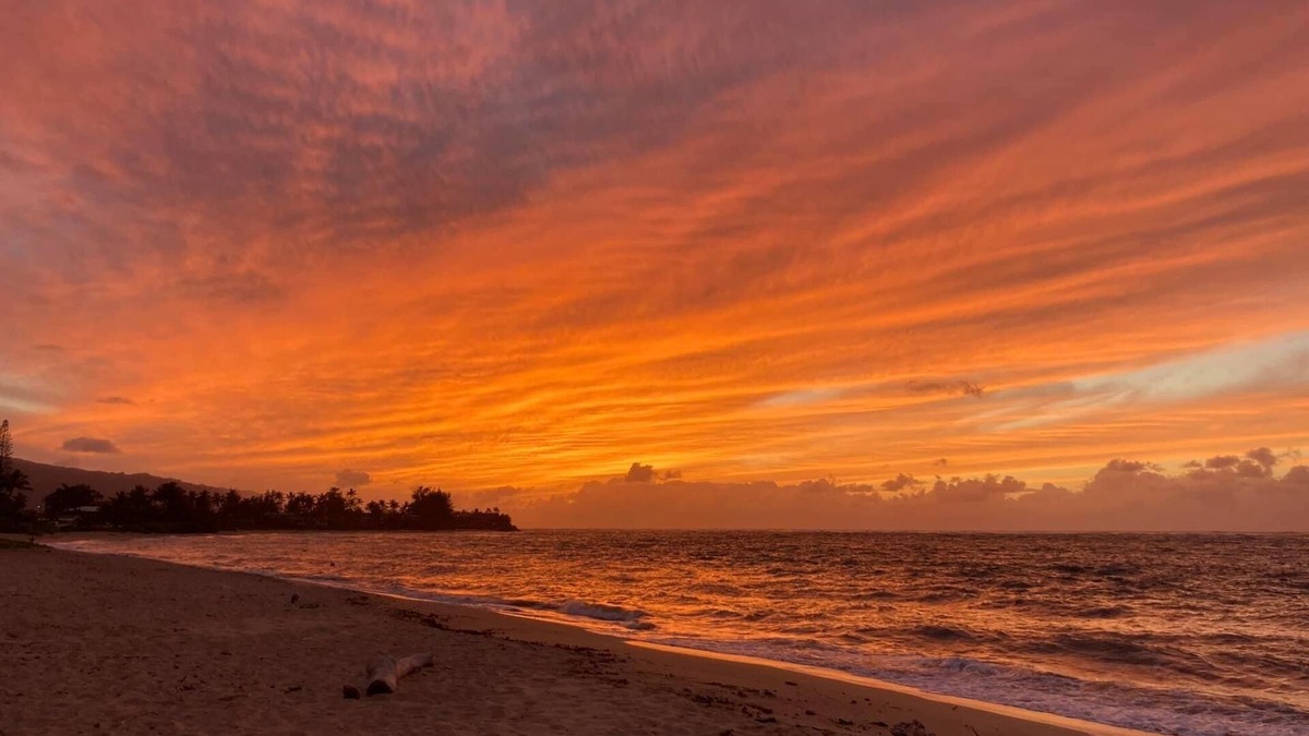 Sao Martinho do Porto House | Holidays atthe sea (Costa de Prata) in luxurious town house with private pool