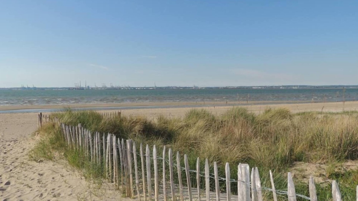 Pennedepie House | Holidays between sea and forest in a charming little house.