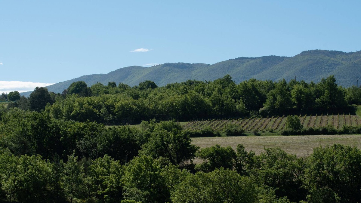 Caseneuve House | Holidays in Caseneuve in a vineyard