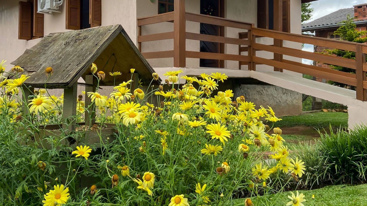 Gramado House | Holidays in Gramado, a very peaceful place!