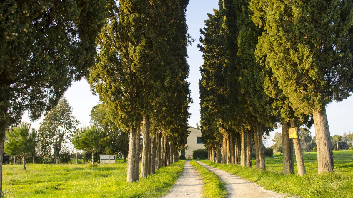 Castagneto Carducci Apartment | Holidays in Tuscany with family