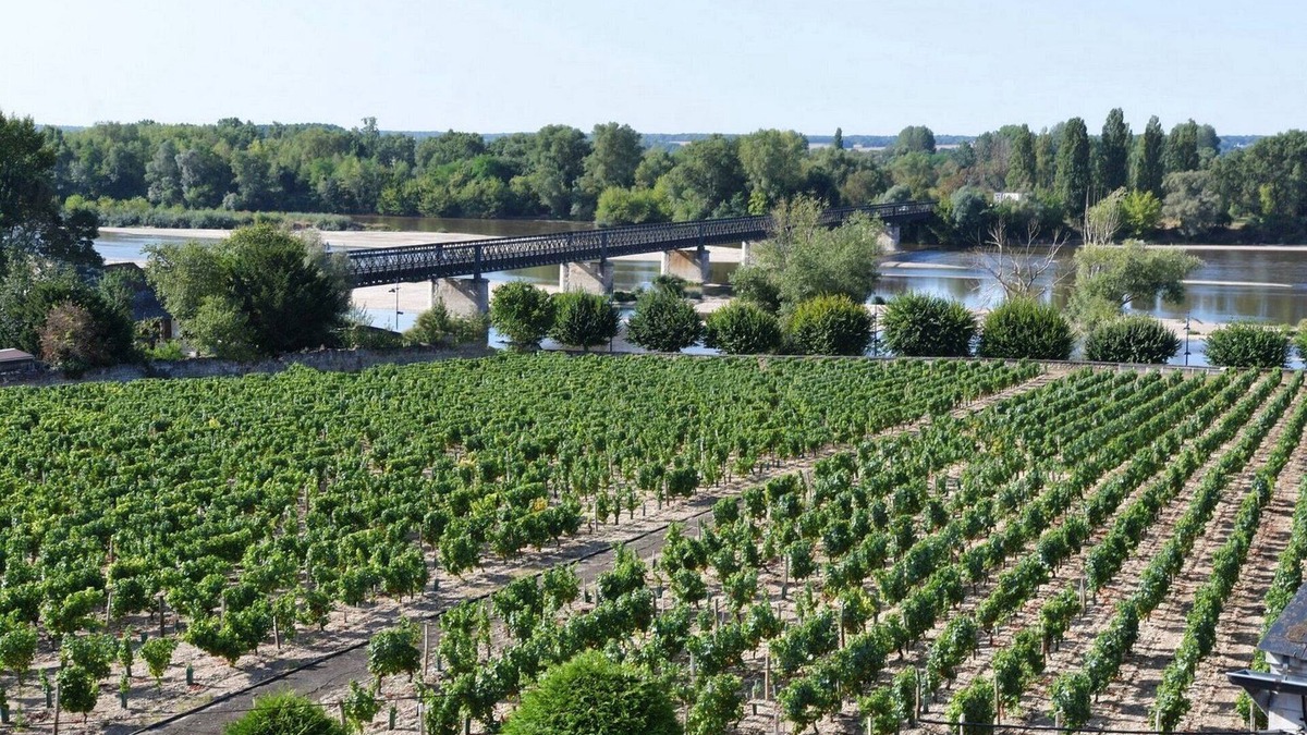 Pouilly-sur-Loire Cottage | Holidays in Pouilly/Loire overlooking the Loire and the vineyards classified 2 stars