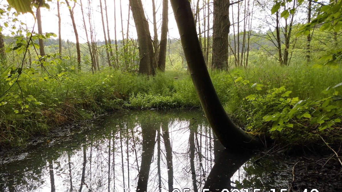 Storkow House | Holidays in wooded and water-rich surroundings - far away from stress and hectic