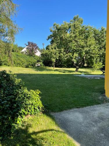 Hollabrunn Apartment | Hollabrunn-Rest-Relaxation-Garden contactless check-in