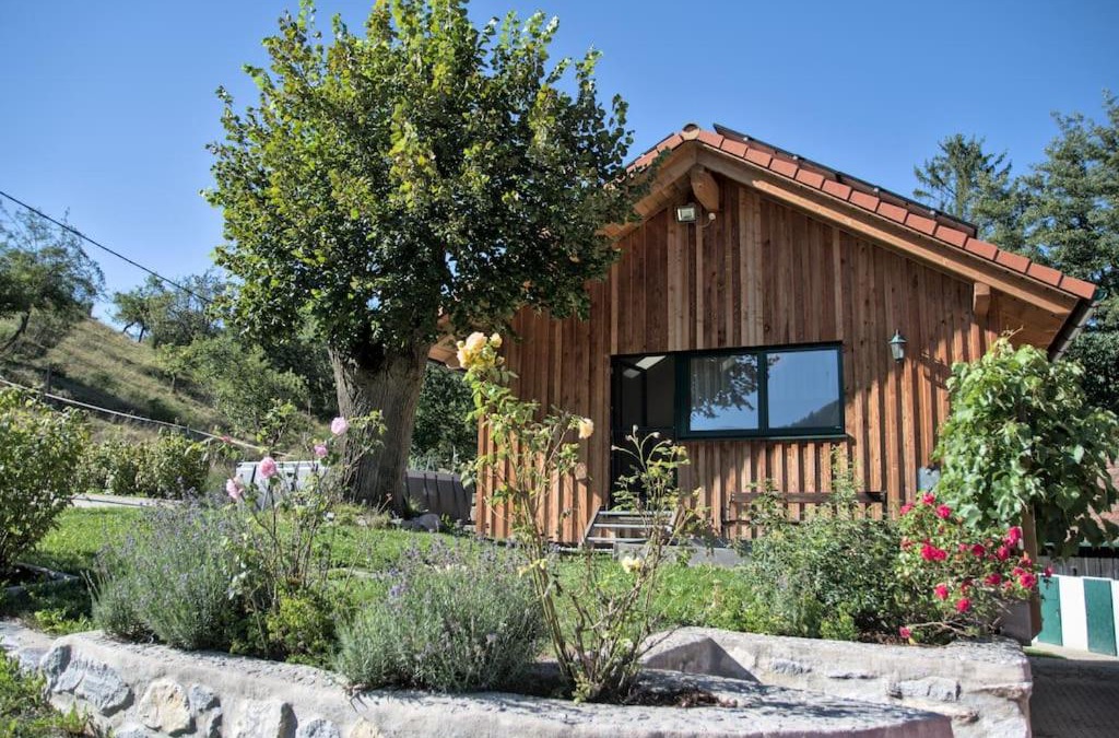 Sankt Veit an der Golsen Apartment | Holzhäuschen mit Pool