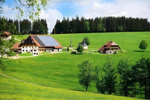 Breitnau Apartment | Holzhof