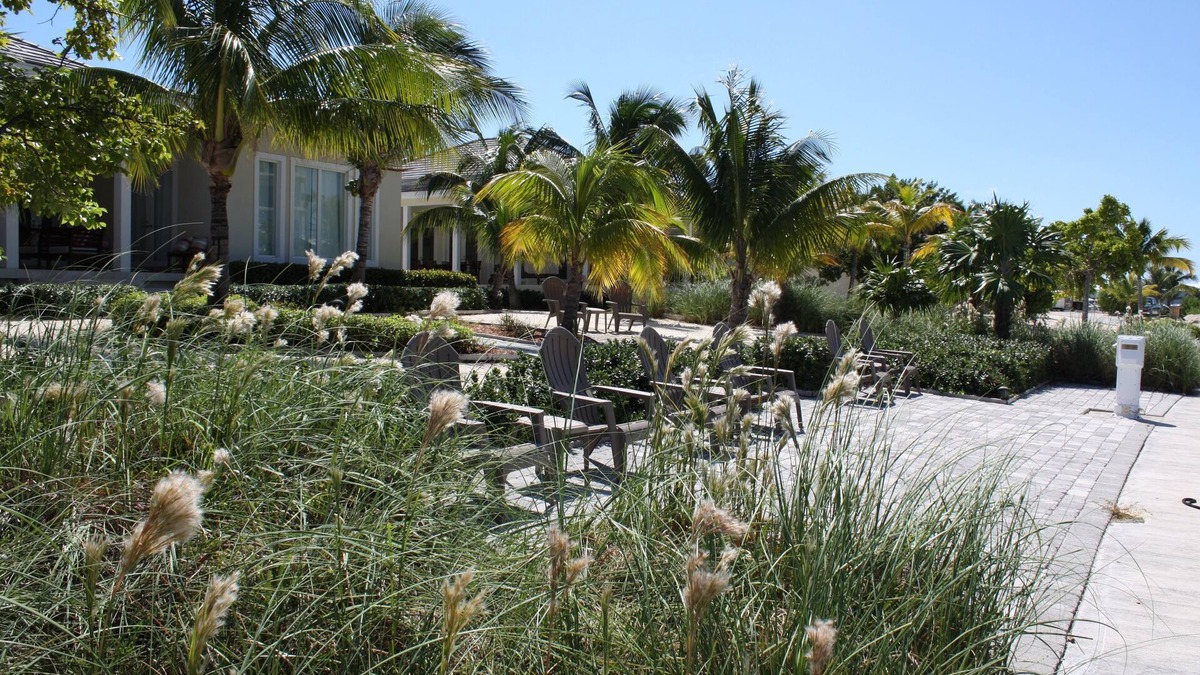 Alice Town House | Home Away From Home In Paradise
