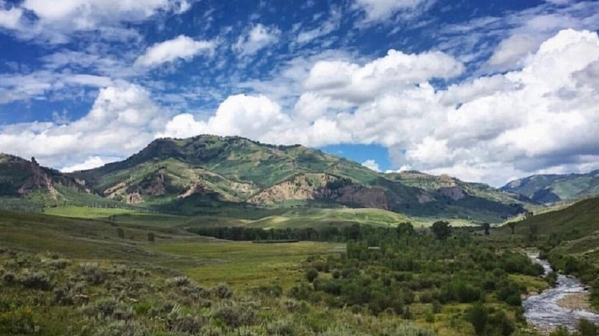 Gunnison Cabin | Home Away From Home - Off-Grid Cabin - 14 miles into Gunnison National Forest