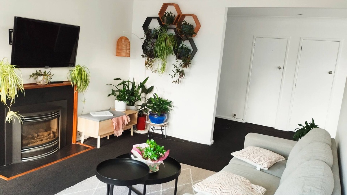 Palmerston North House | Home near Airport and Hospital