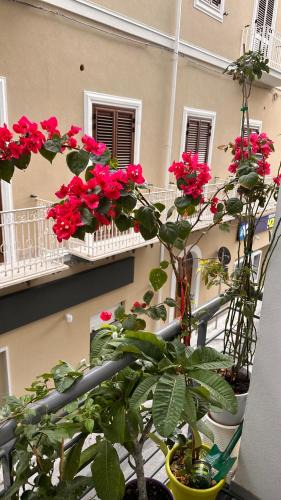 Sant'Agata di Militello Apartment | Home Sicilia