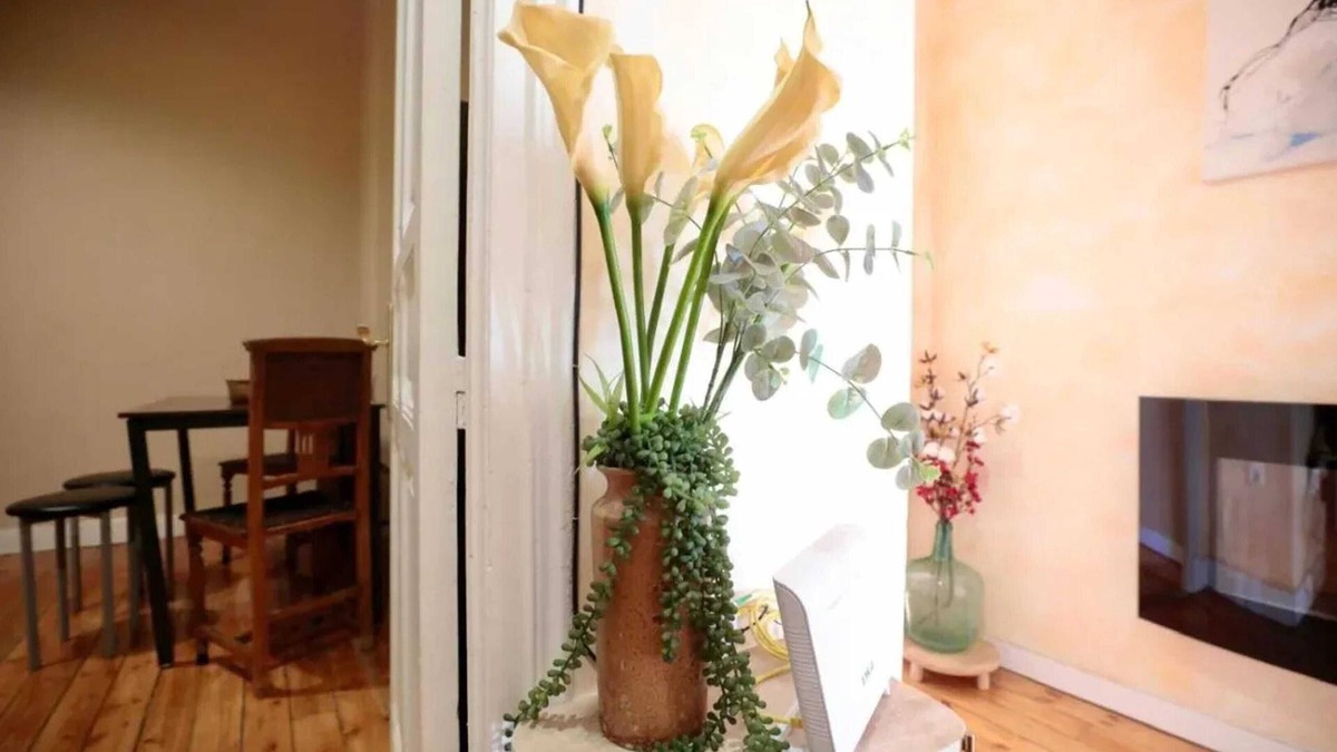 Valladolid City Centre Apartment | Homerez - Apartment in Valladolid