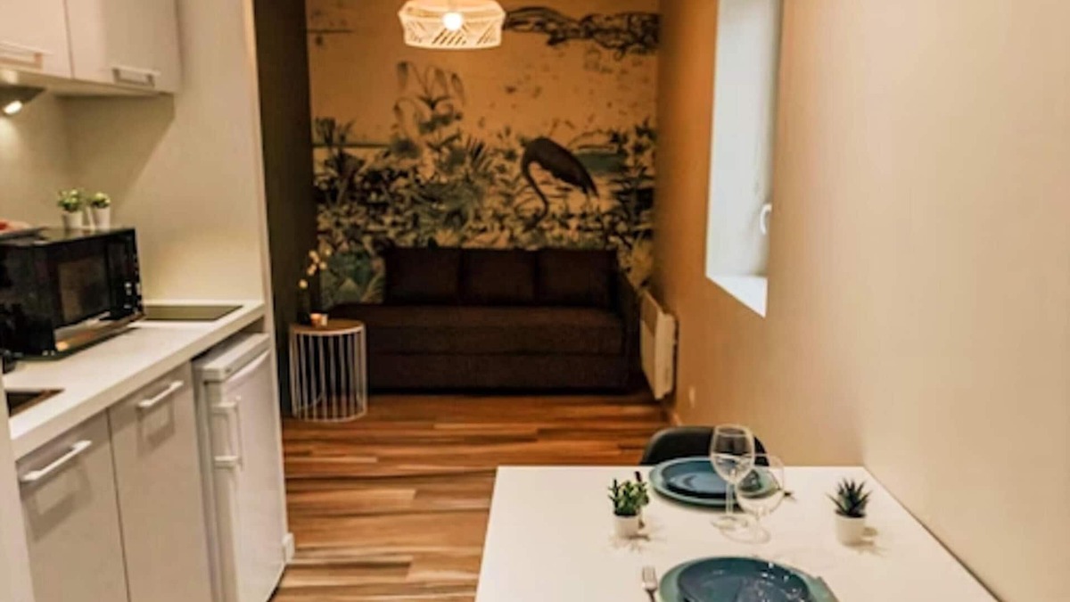 Saint-Chamond Apartment | Homerez - Beautiful studio for 2 ppl. at Saint-Chamond