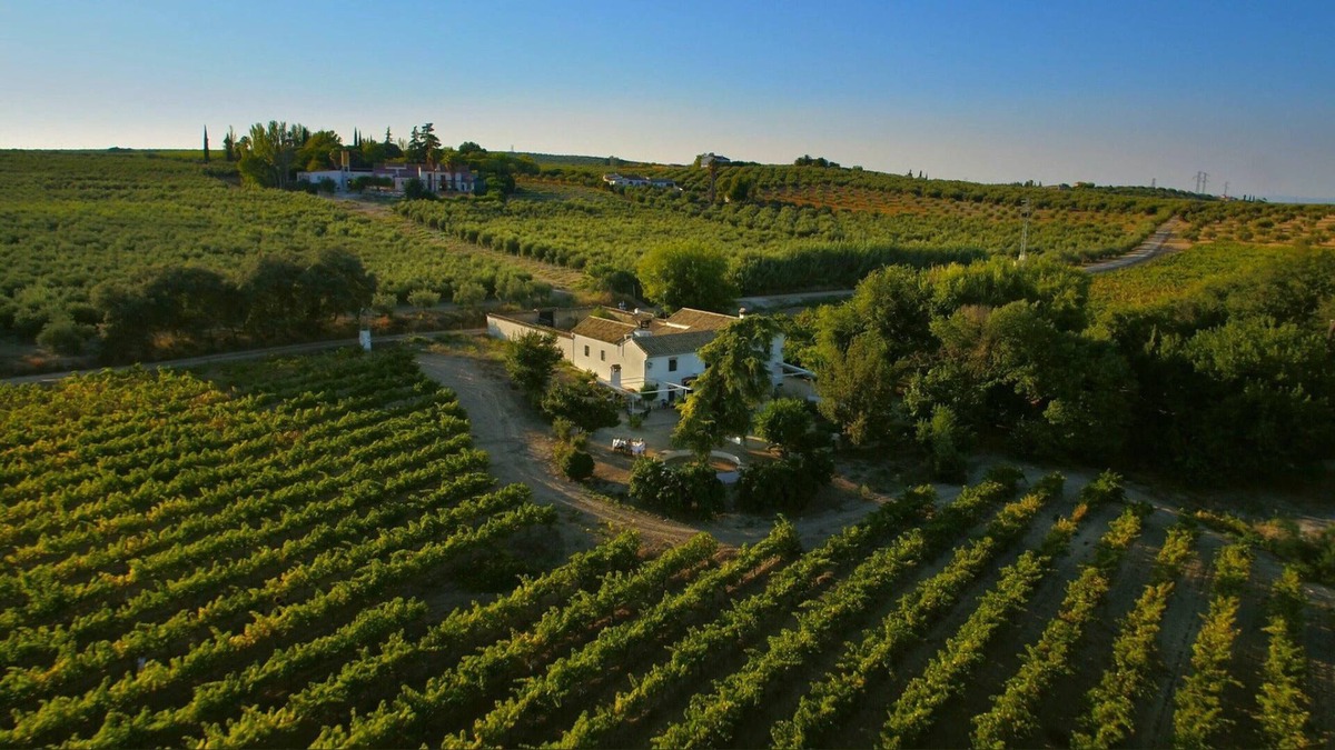 Montilla Villa | Homerez - Big villa for 16 ppl. with swimming-pool at Montilla