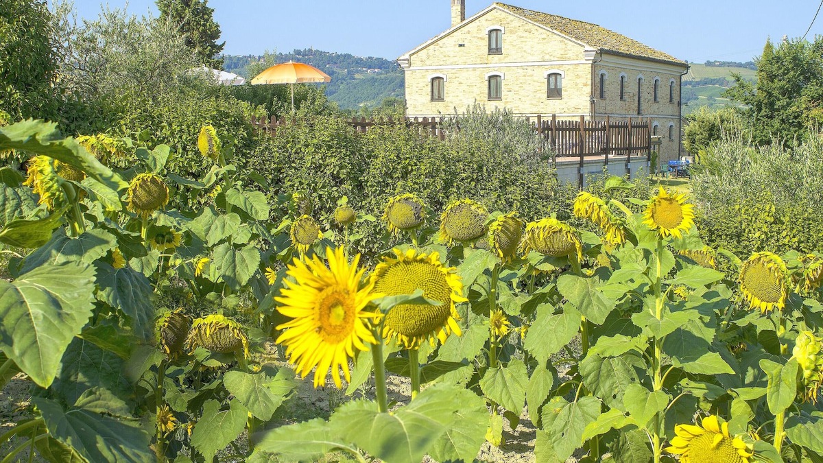 Montecarotto Villa | Homerez - Big villa for 20 ppl. with swimming-pool at Montecarotto