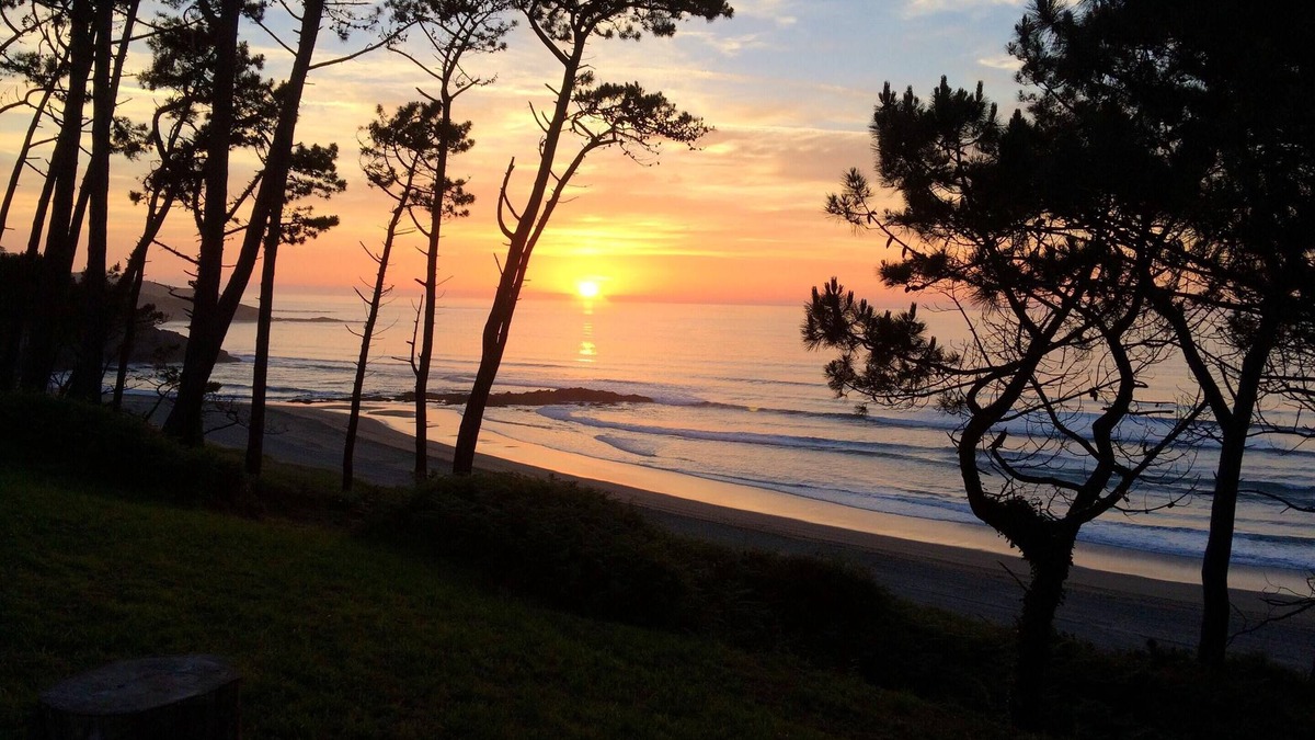 Canedo House | Homerez - Charming House in Sabugo with Sea View