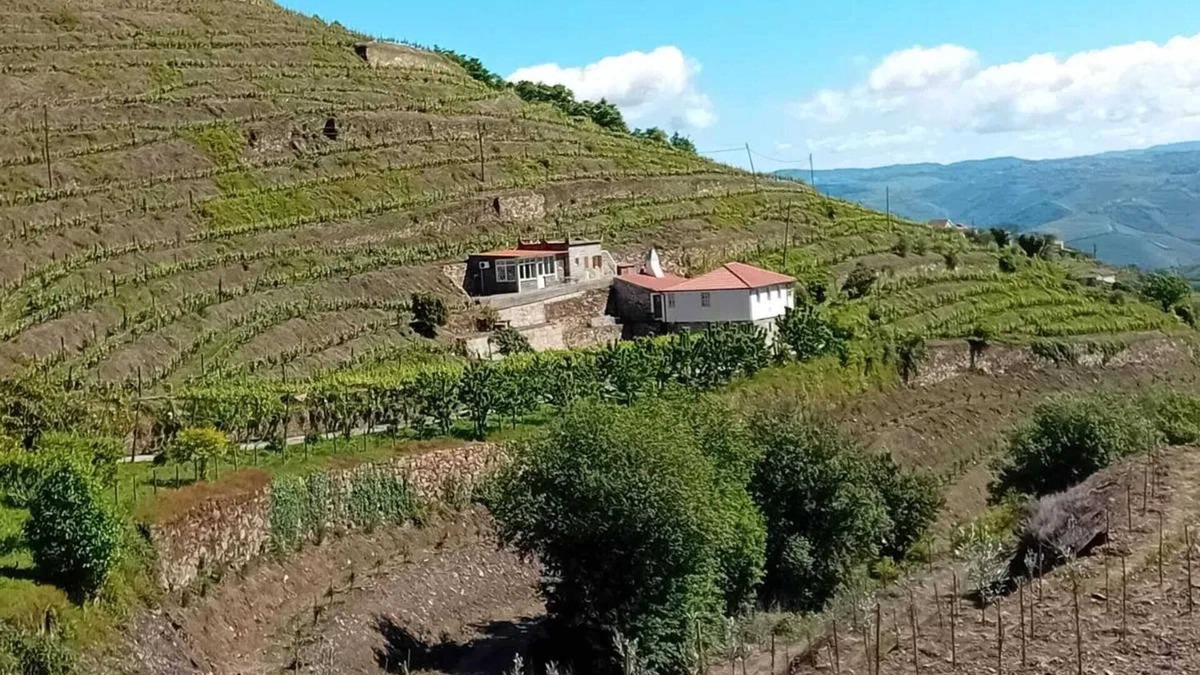 Lamego Villa | Homerez - Charming Villa with Pool in Lamego