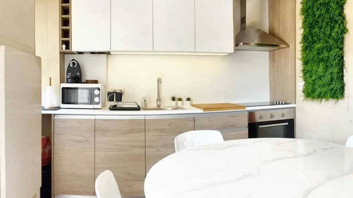 Lamego House | Homerez - Comfortable House in Lamego with Unfenced Garden