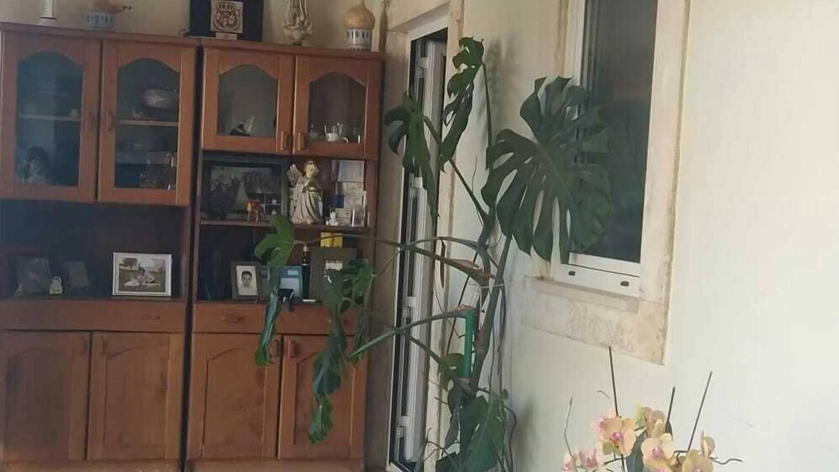 Porto de Mos House | Homerez - House in Marinha da Mendiga