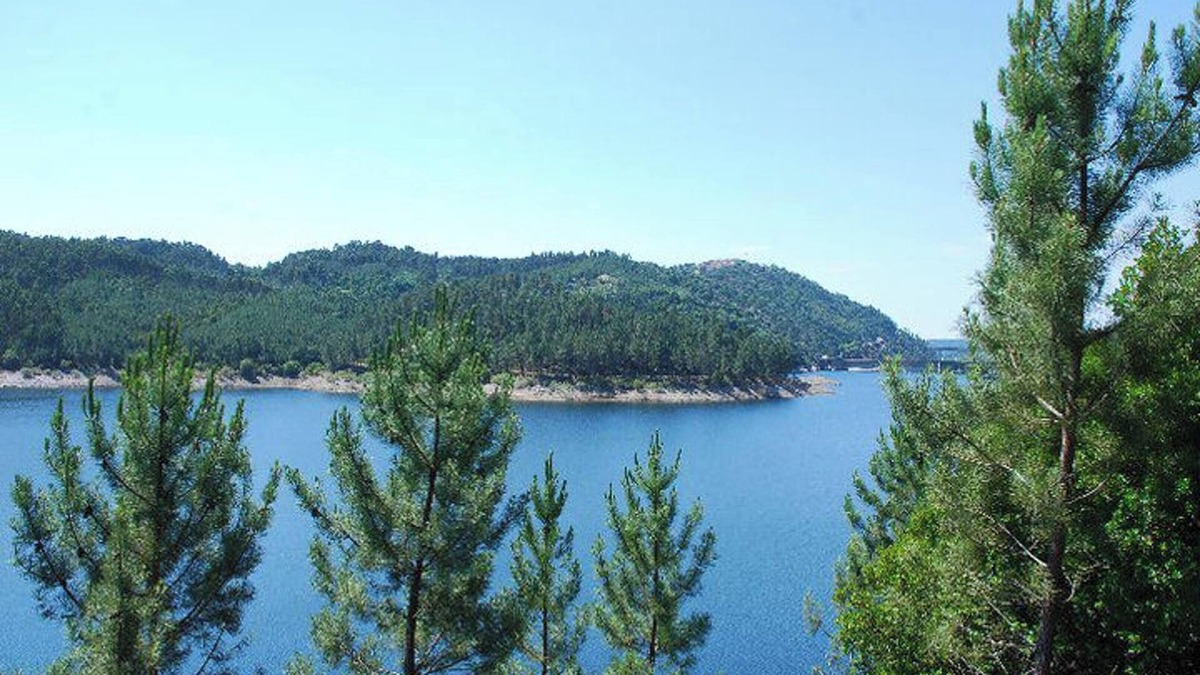 Cha de Alvares House | Homerez - House in Chã de Alvares