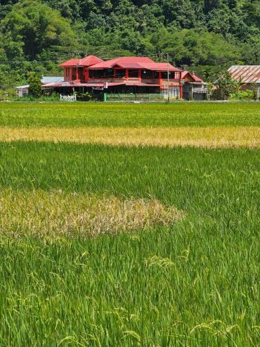 Agam Bed & Breakfast | Homestay dan Cafe BungaSonsang