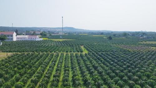 Ke Ga Bed & Breakfast | Homestay Thảo Nguyên Xanh