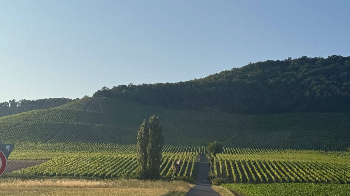 Kitzingen Apartment | Horizon 360°