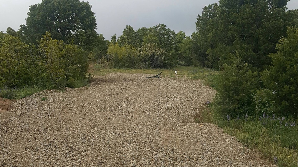 Lewis RV Rental | Horny toad point RV space up above Dolores Colorado book today great view s!