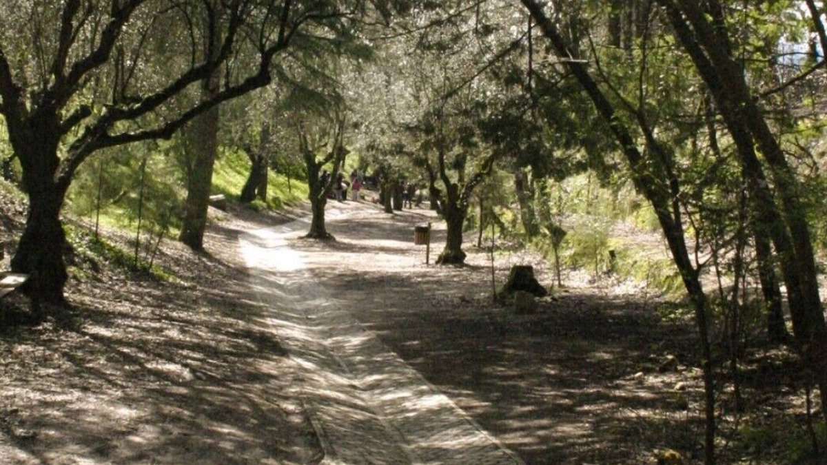 Ourem House | Hortus Villa, Wifi, AC, Garden, Private Pool