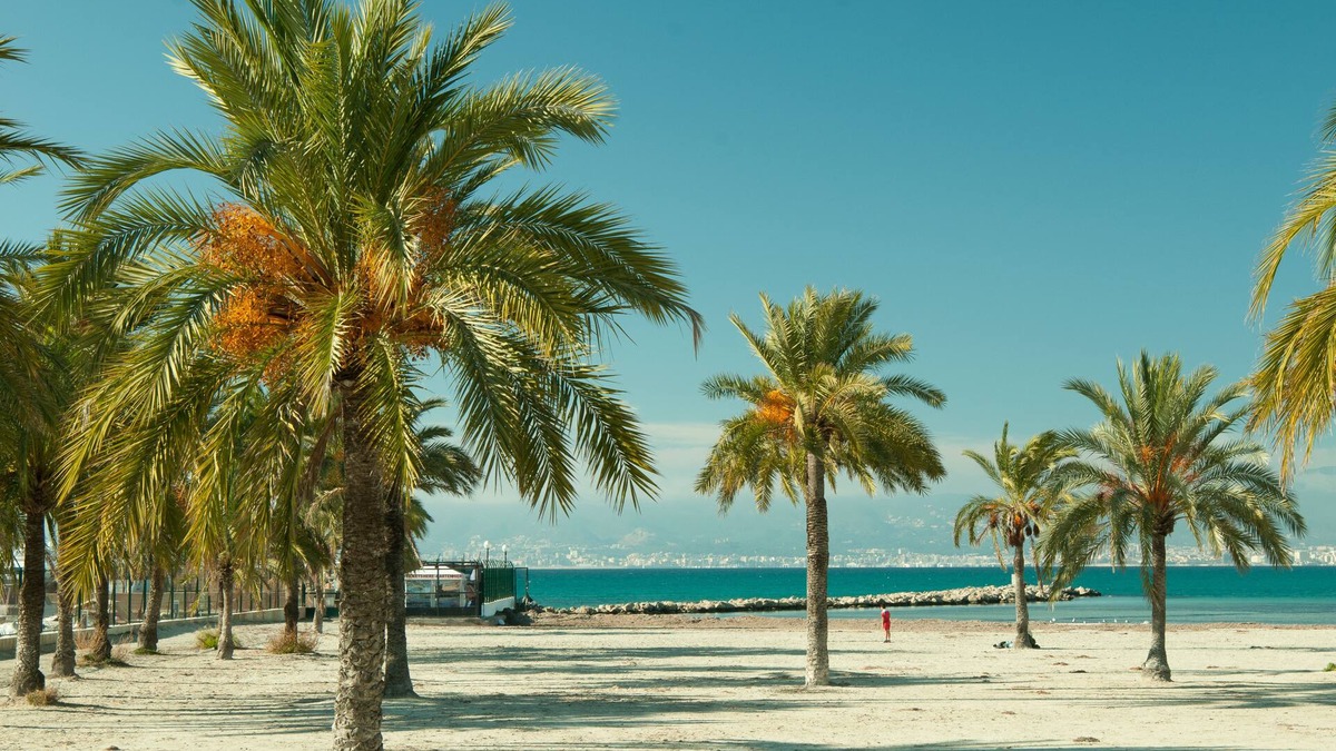 El Arenal Hostel | Hostal Atlanta