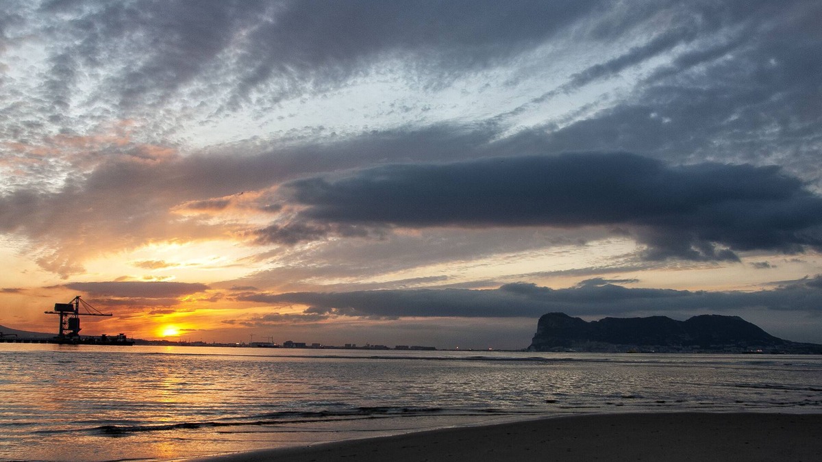 Palmones Hostel | Hostal Palmones