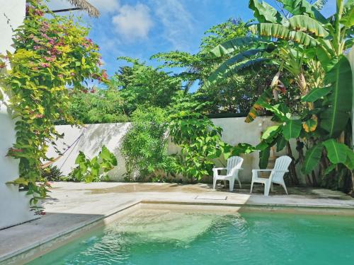 Joaquin Zetina Gasca Hostel | Hostel Humanity