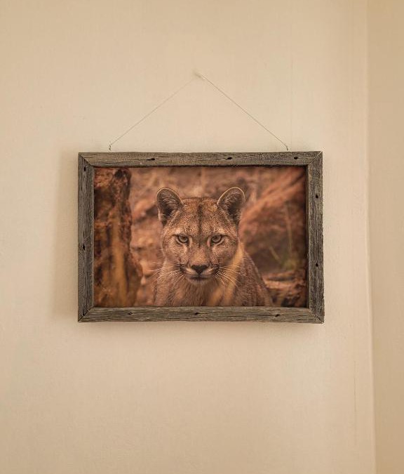 Perito Moreno Hostel | Hostel Tierra Patagónica