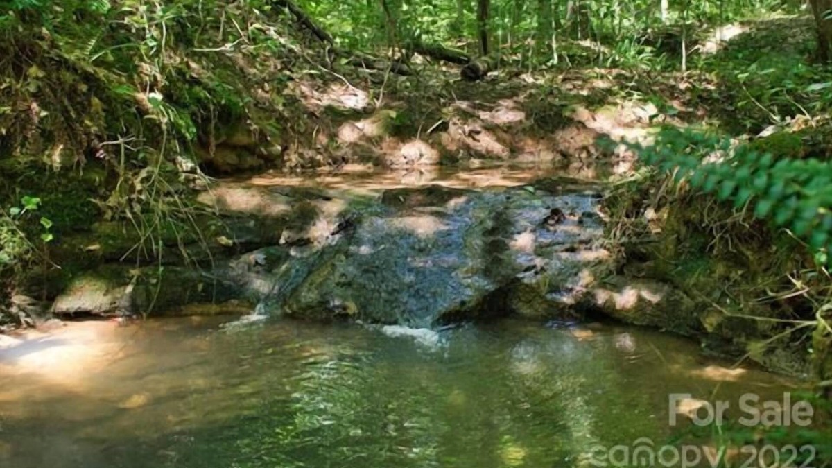 Clearwater Creek Cabin | Hot Tub! Creek! Moondance by Carolina Properties - Pet Friendly, Creek!