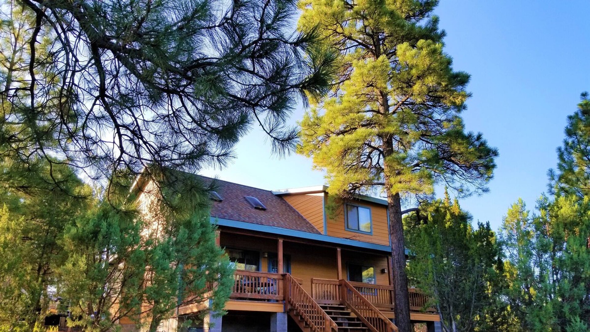 Forests Trails Cabin | Hot Tub- Family Friendly Retreat with large Treehouse!